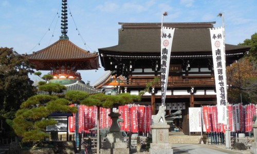 四君子颗粒太厉害了-四君子颗粒配方用量、四君子颗粒的搭配用药 -四君子颗粒的中草药分量网